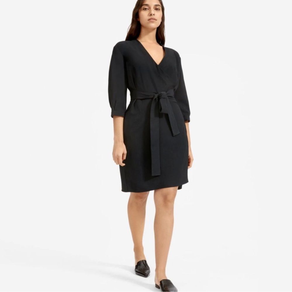 Everlane Black V-Neck Belted Dress